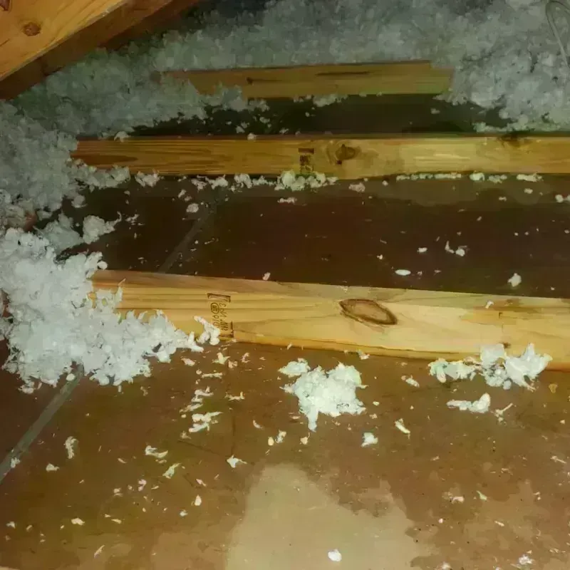 Attic Water Damage in Woodville, WI