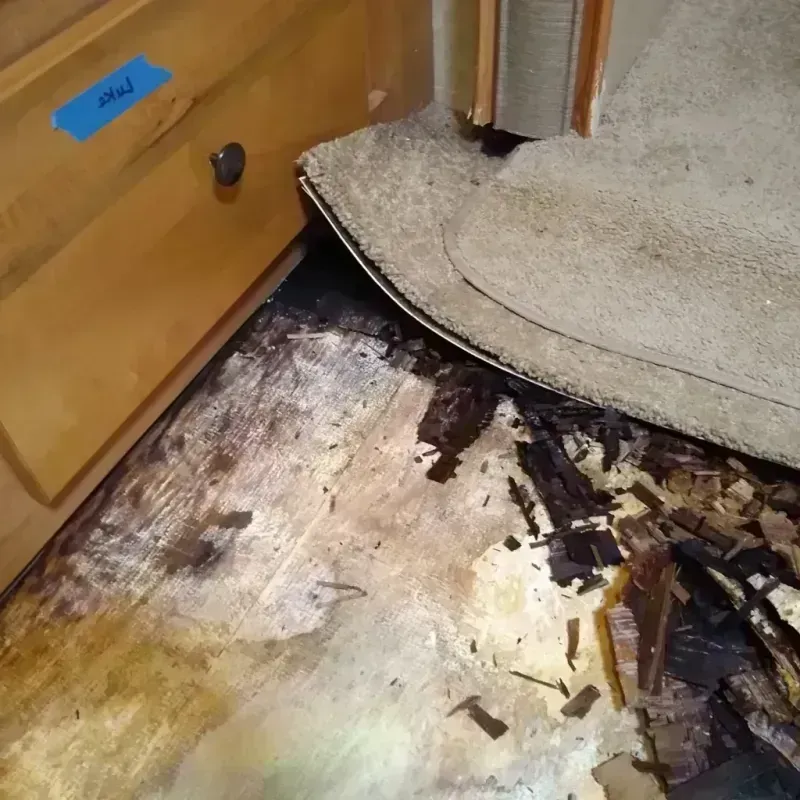 Wood Floor Water Damage in Woodville, WI